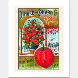 The Dingee and Conard Co. Rose Growers Catalogue, 1897 Posters and Art